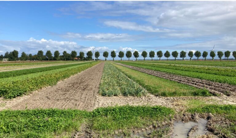 Update gebiedsperspectief