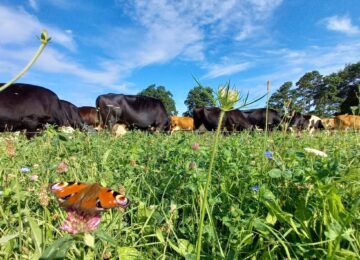 Lidl, FrieslandCampina en ReGeNL bundelen hun krachten in innovatieve pilot voor regeneratieve landbouw