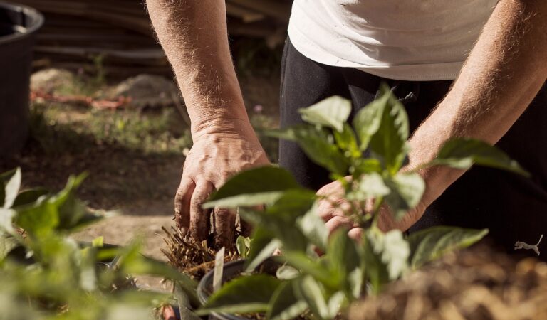 Update perspectief op het boerenbedrijf